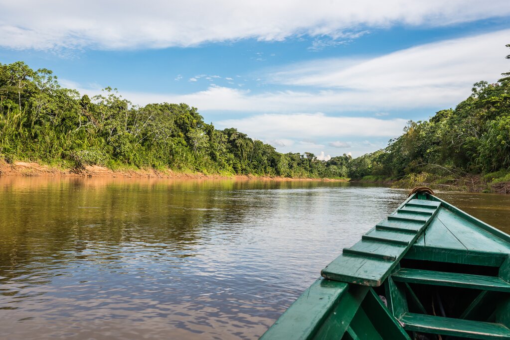 Amazon rainforest
