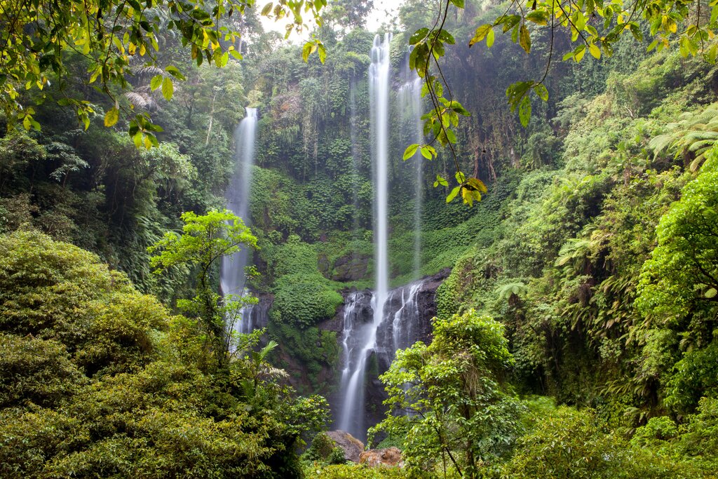Sekumpul Waterfall in northern Bali