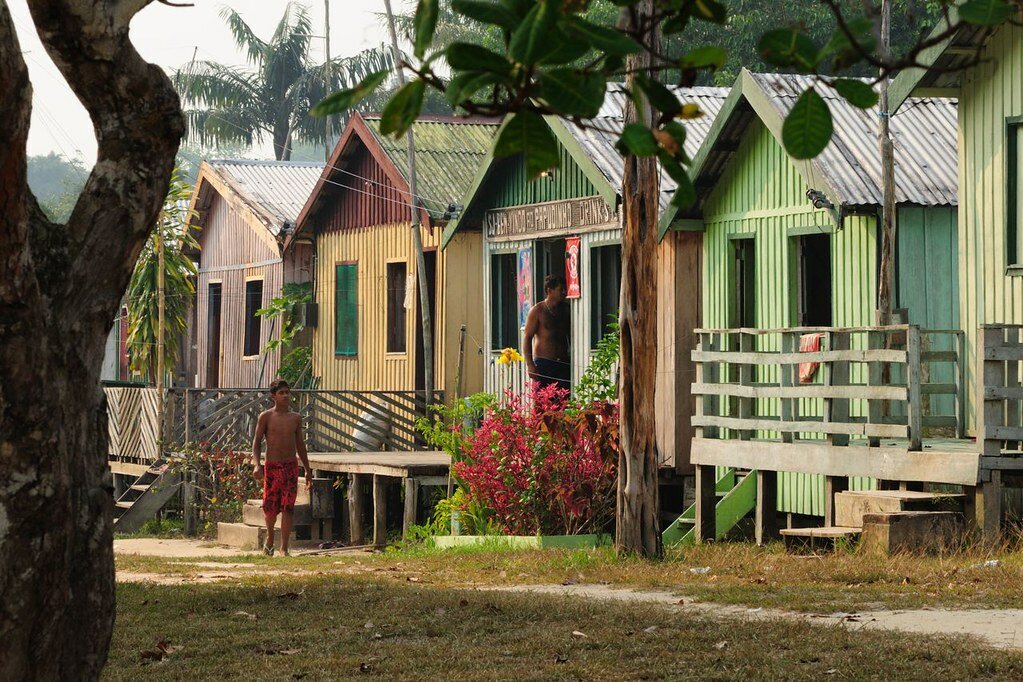 Adventures in the Jungle Lodge (Day 3: Manati Lodge)