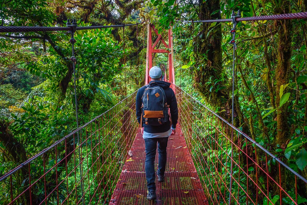 hiker on hanging bridge in Monteverde Cloud Forest