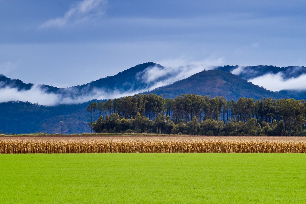 Drive to the Atherton Tablelands for quirky cafés and captivating landscapes