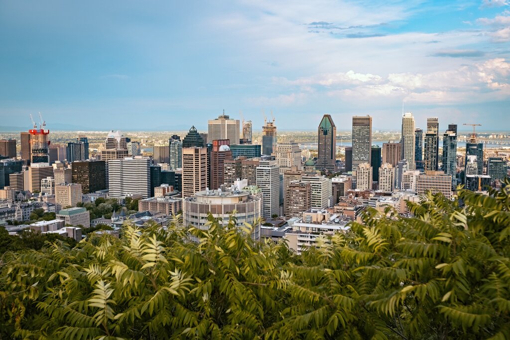 Enjoy panoramic views of Montreal from the top of Mount Royal