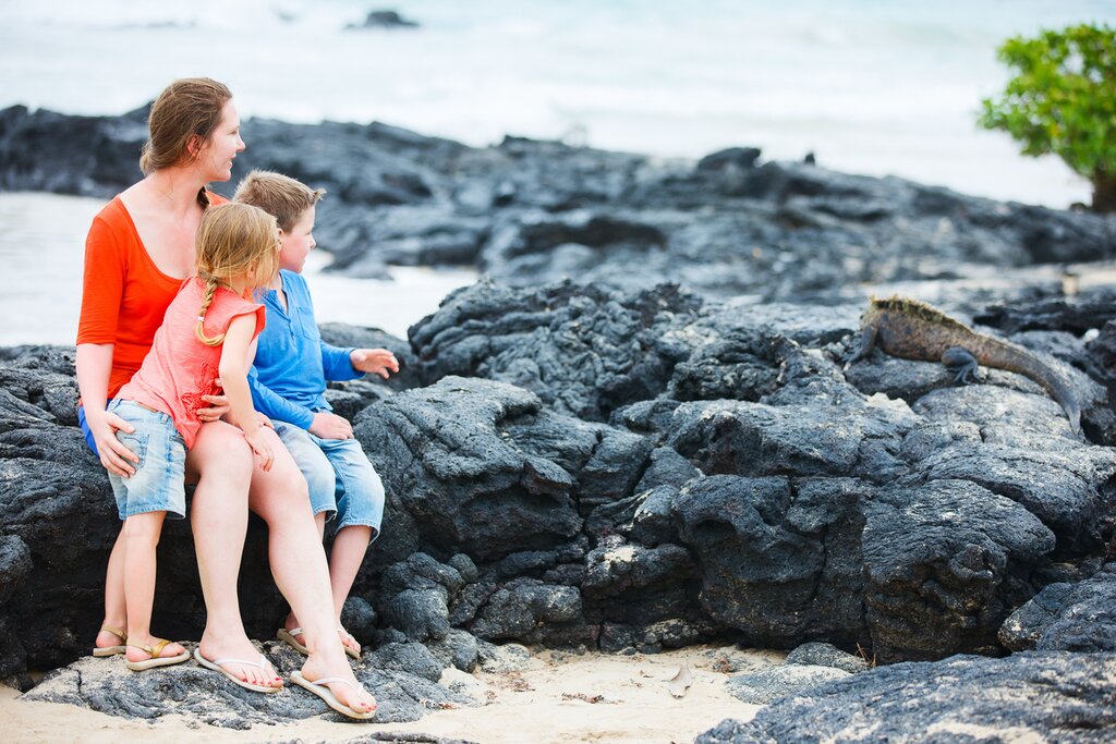 Experience wildlife close up with the kids on the Galápagos Islands