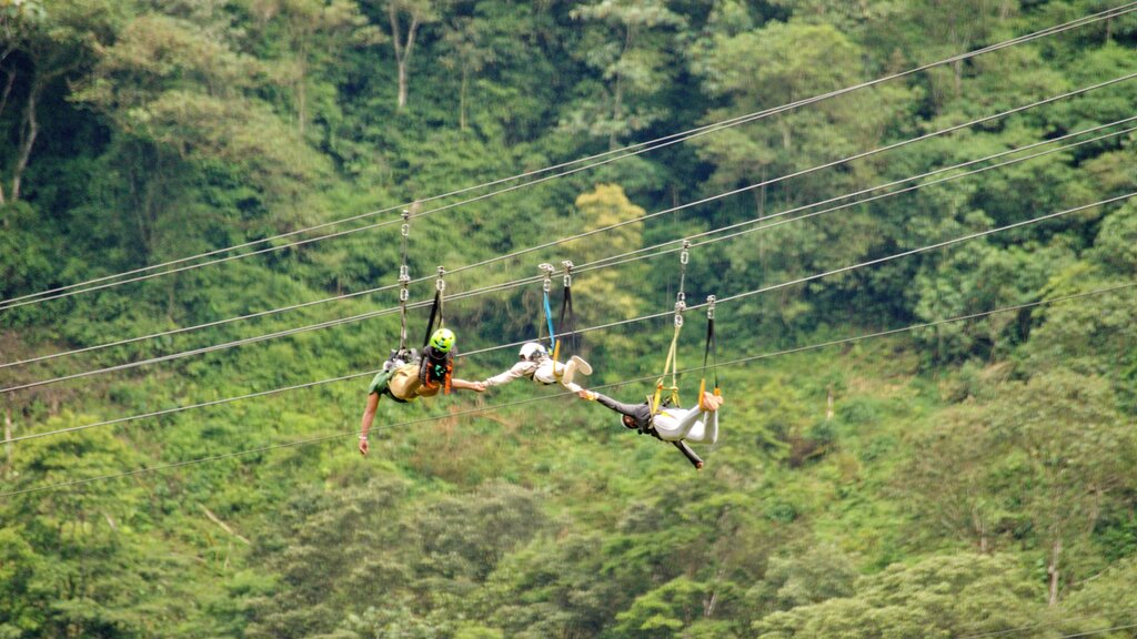 Zipline above the clouds at Mindo Cloud Forest