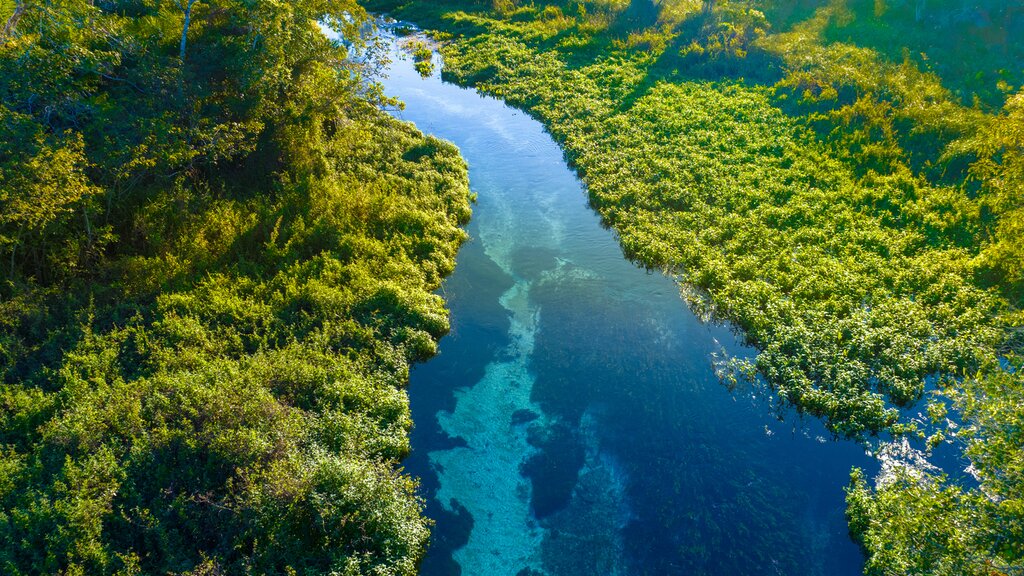 Go snorkeling in Brazil's crystalline Sucuri River