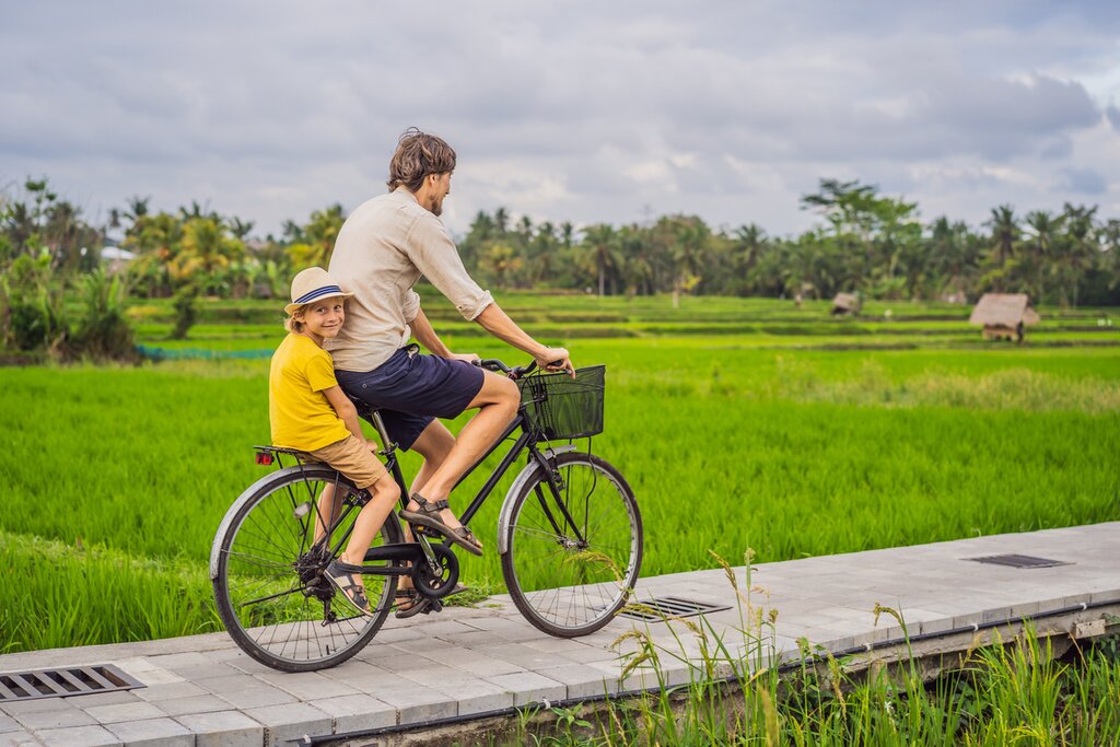 See Indonesia's culture and history with your family
