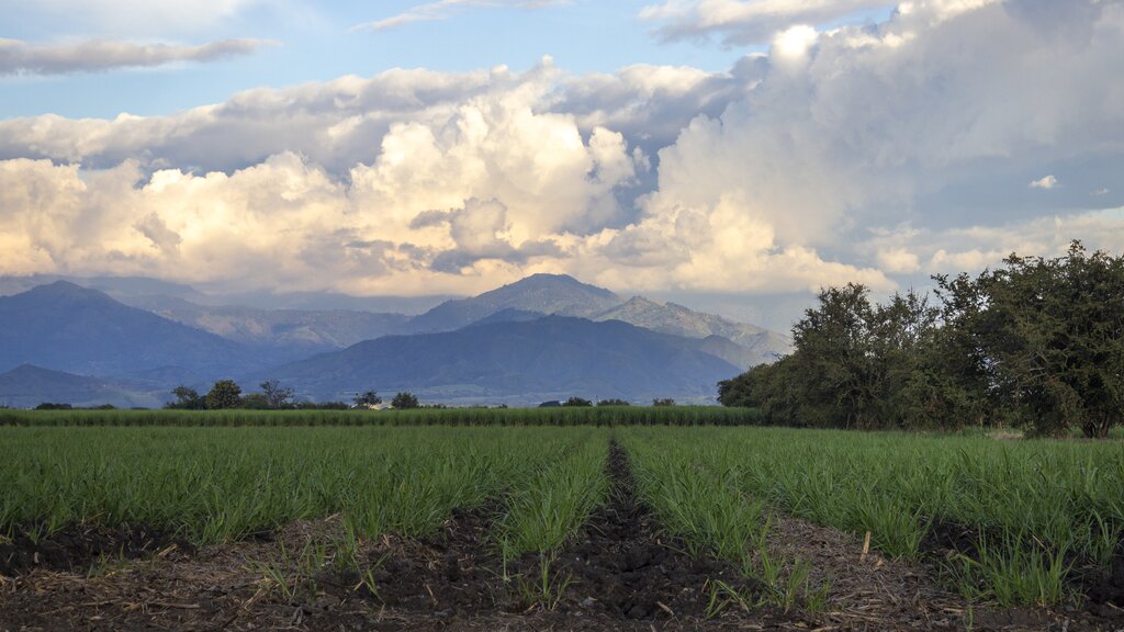 View over fields to a misty mountain peak