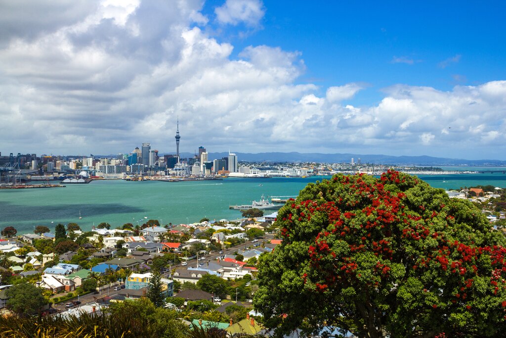 Mount Vic