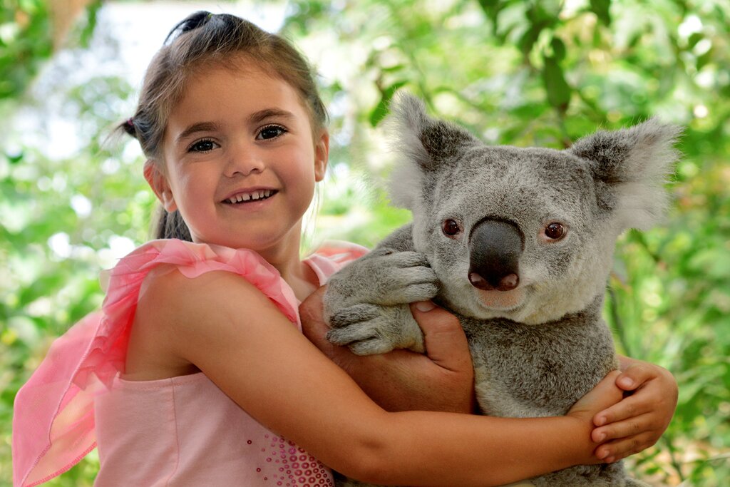 Lone Pine Koala Sanctuary