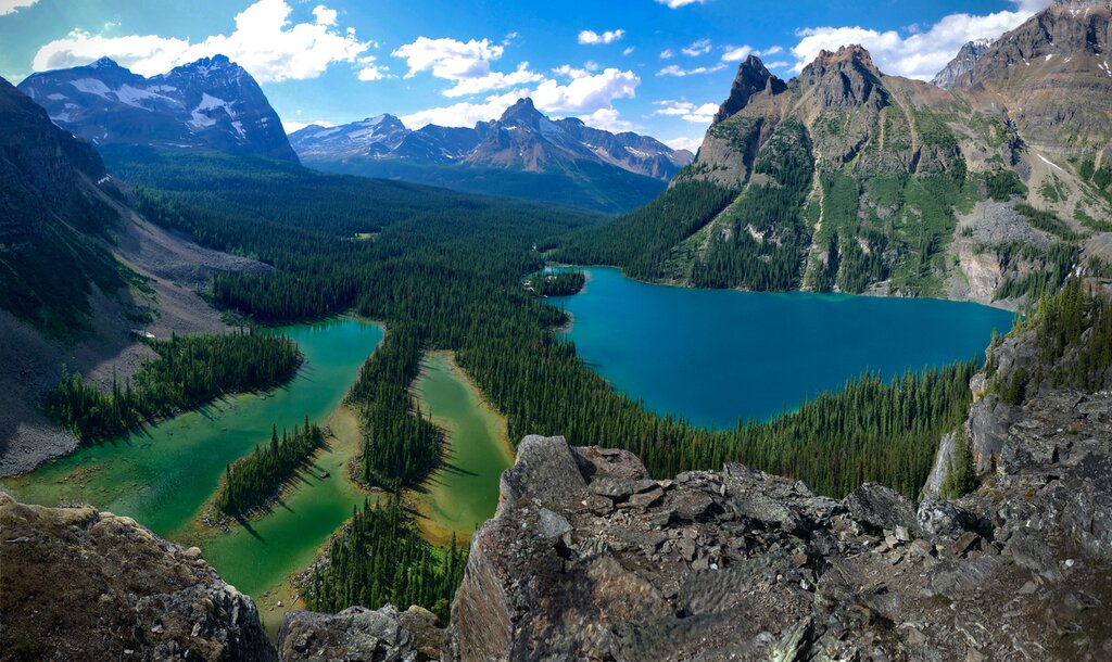 Choose a trail in Yoho National Park, like the Lake O'Hara Shoreline Trail that takes you to Lake O'Hara