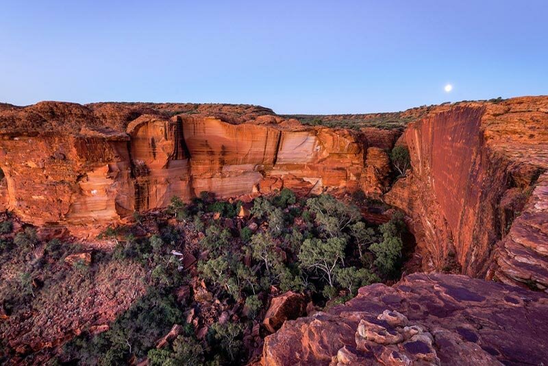 Full Day Exploration of Kings Canyon with Longitude 131
