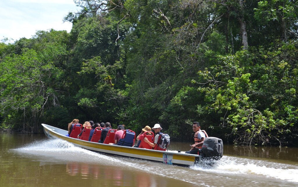 Canoe rides