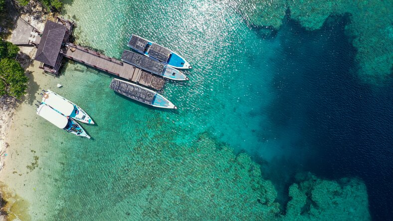 Snorkling Menjangan