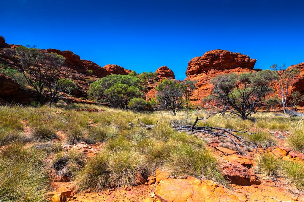 Venture into the Australian outback