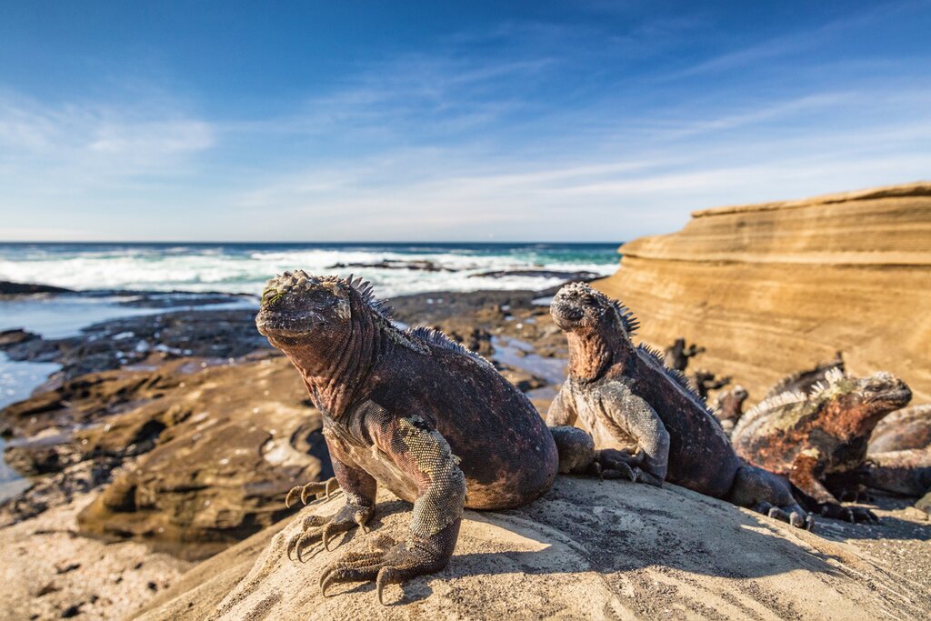 Welcome to the Galapagos Islands!