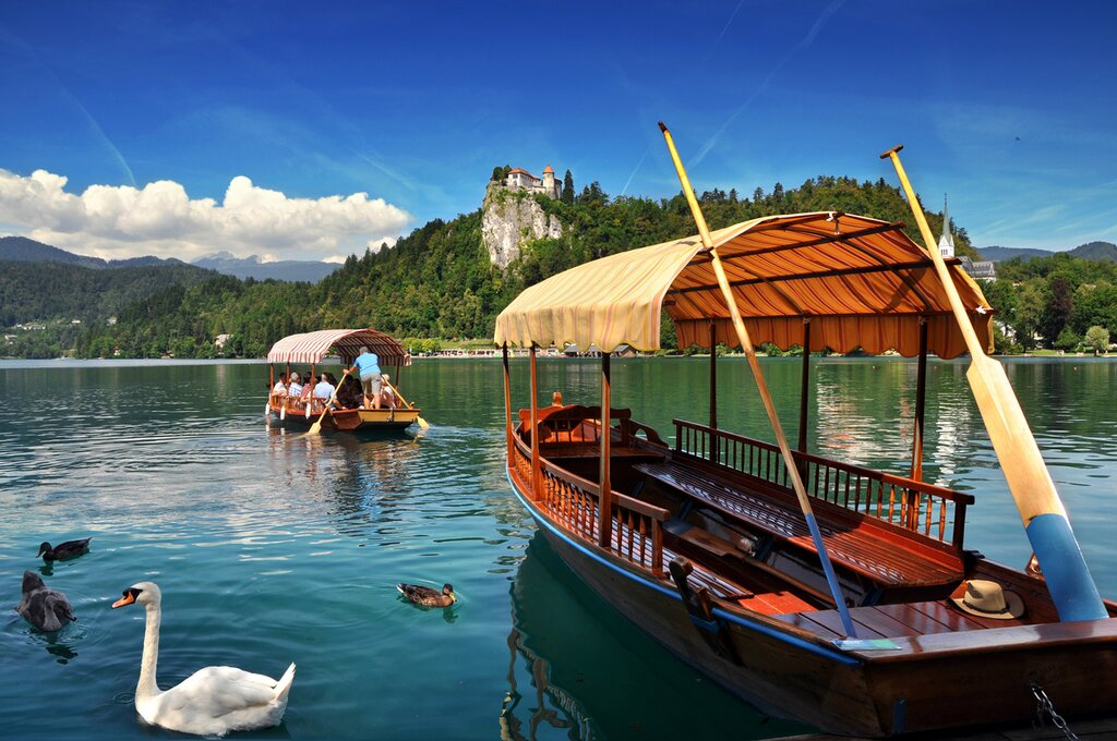 Discover Bled Town and Enjoy Pletna Boat Ride