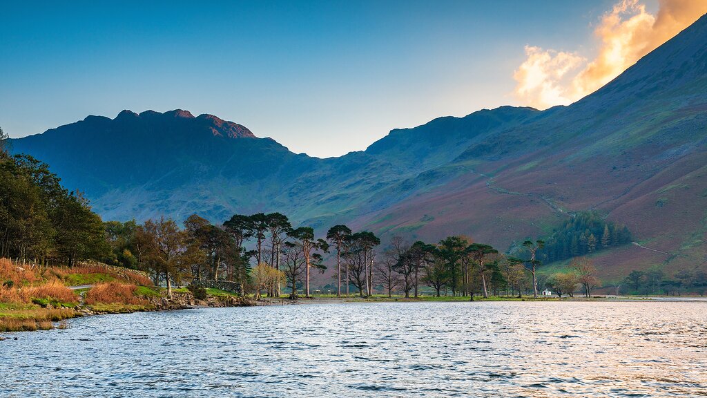 Haystacks Fells above Buttermere Pines in the Lake District