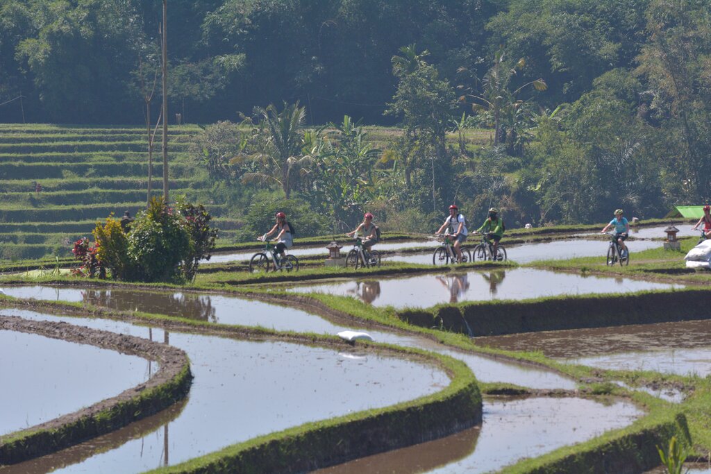 Go on an early morning cycling tour