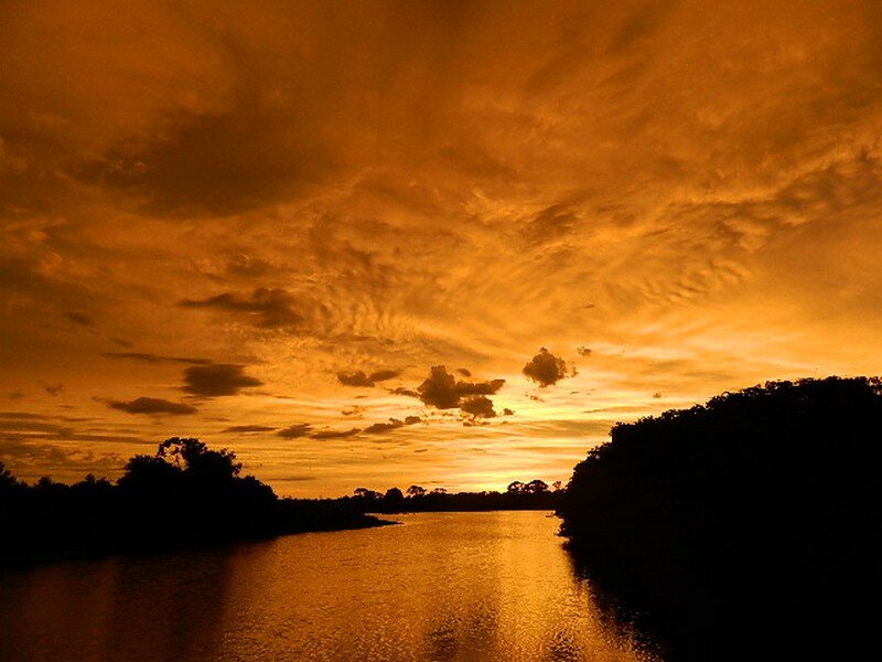 Dawn on the Pantanal
