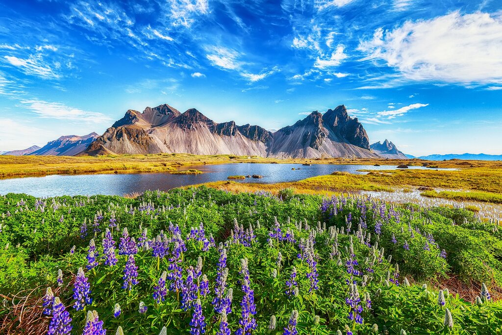 7-Day East Fjord Excursion - Day 1
