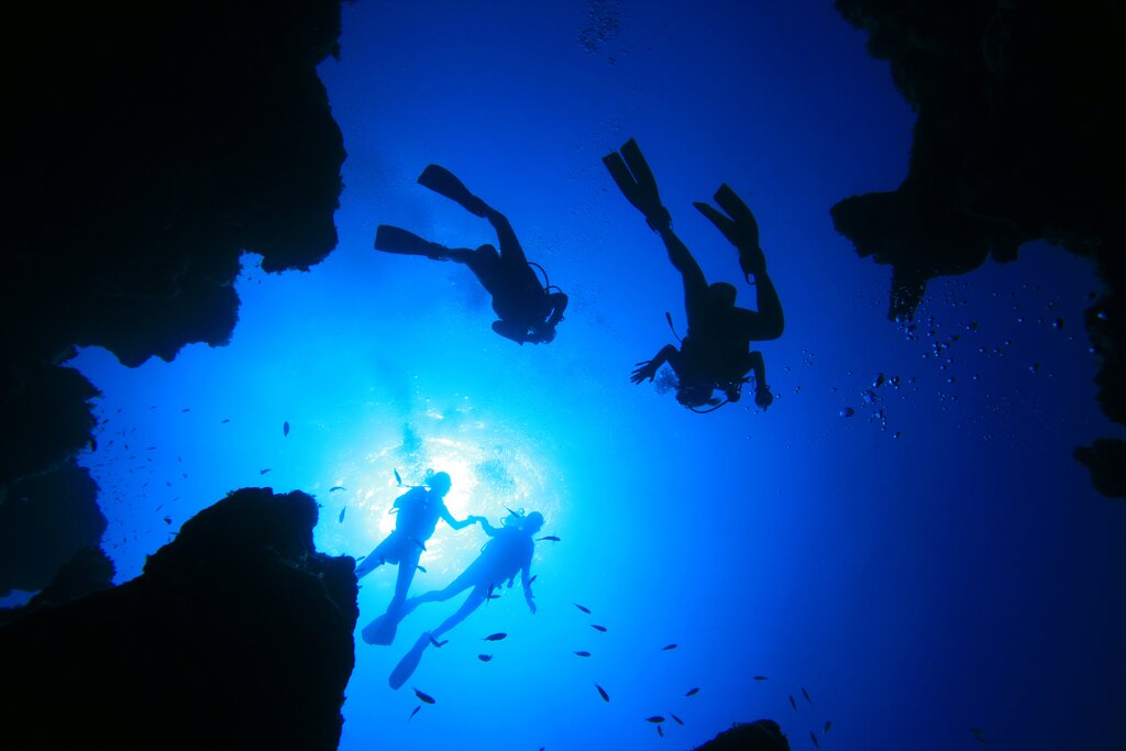 Explore the underwater world