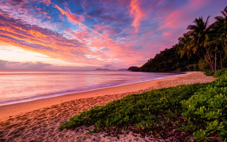 Daintree and Cape Tribulation Touring