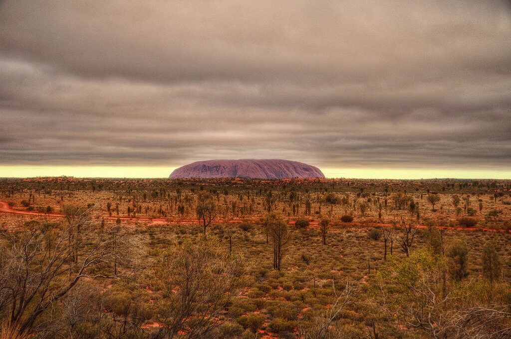 View of Australian bush landscape with Uluru rising in the baground