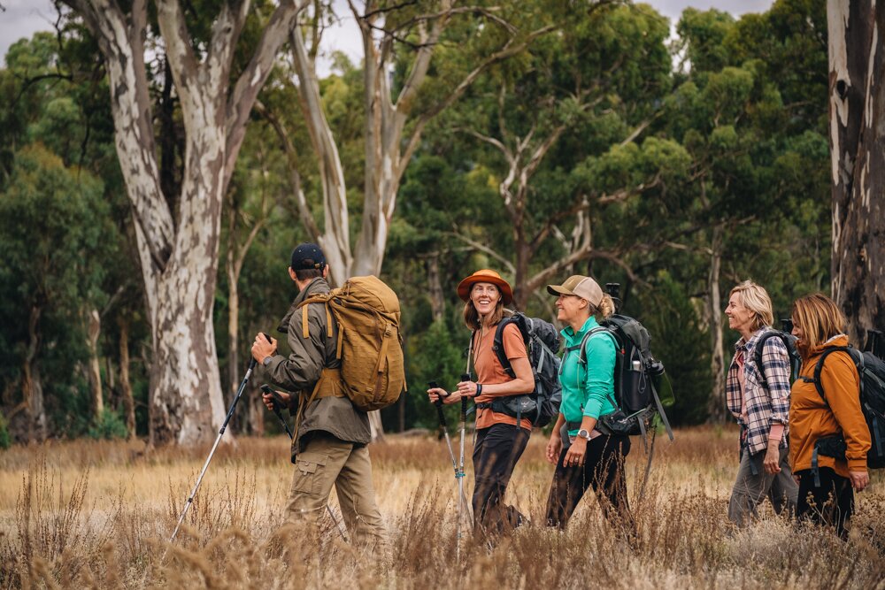 Arkaba Walks (Day 1): Wilpena Pound to Black's Gap Bush Camp