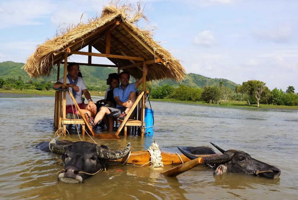 The buffalo cart makes a stop at the Secret Lake
