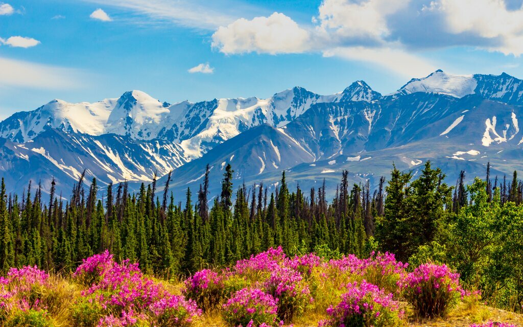 Snow-capped mountains in Yukon
