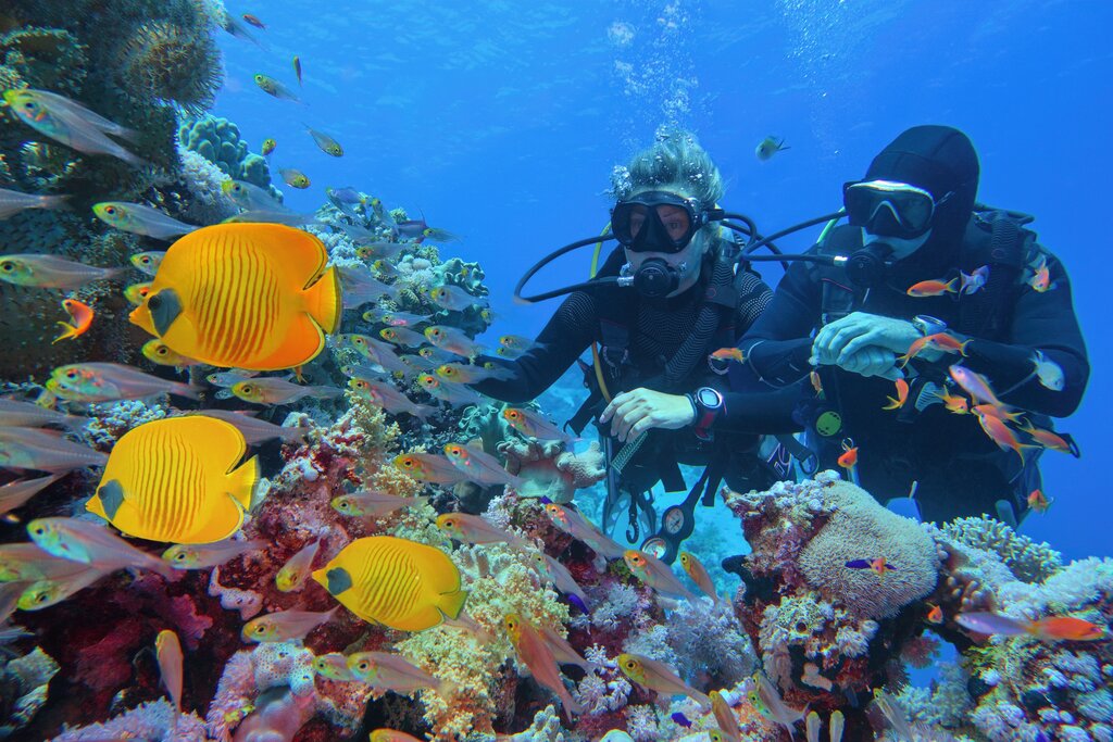 Dive the Great Barrier Reef