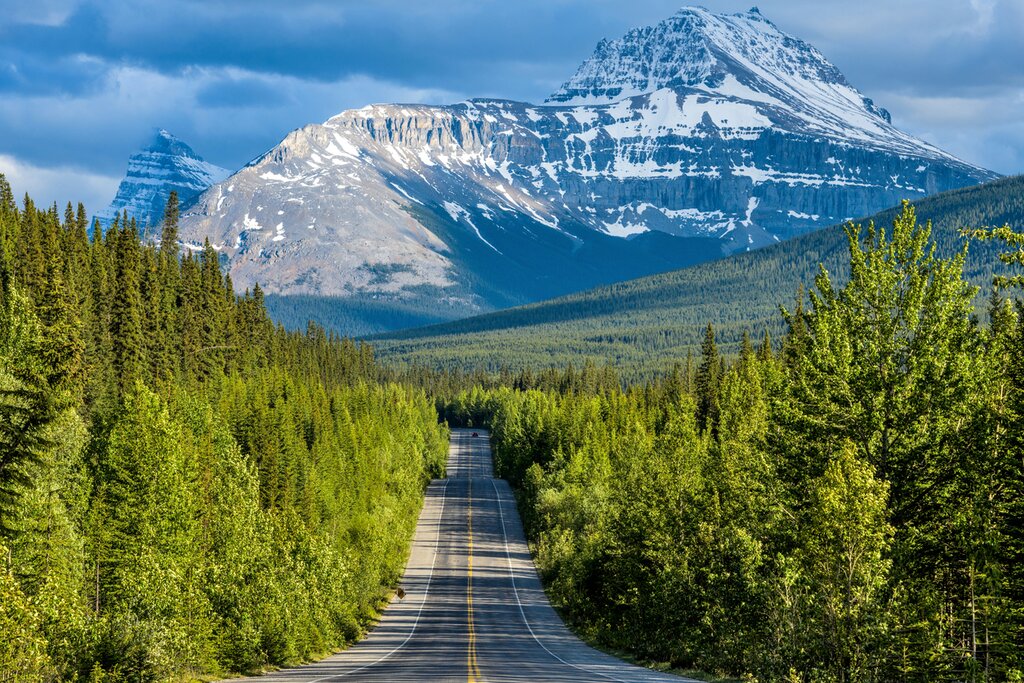 Follow the scenic Icefields Parkway from Banff to Jasper