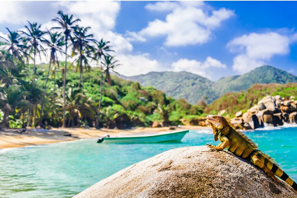 Lush jungle, white beaches, and diverse wildlife in Tayrona National Park.