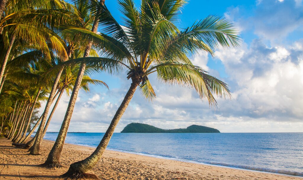 Palm Cove