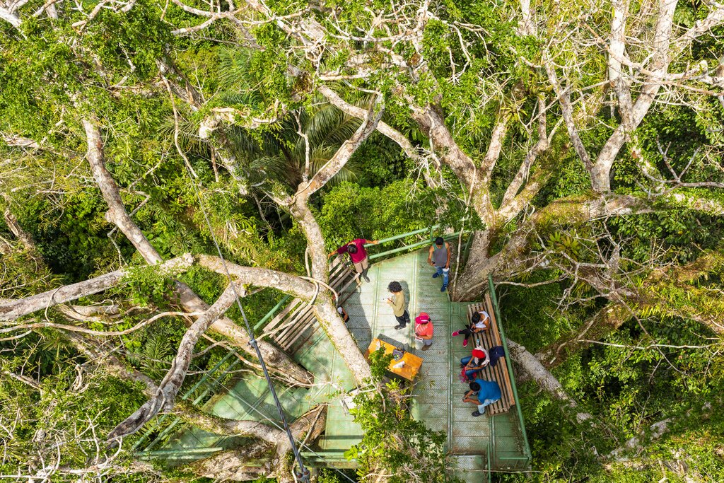Yasuni National Park