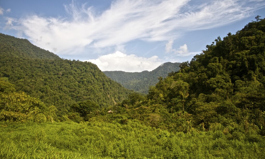 Elevated jungle view from the Lost City trek