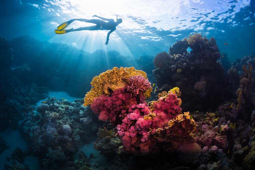 Snorkeling Trip to Giftun Island