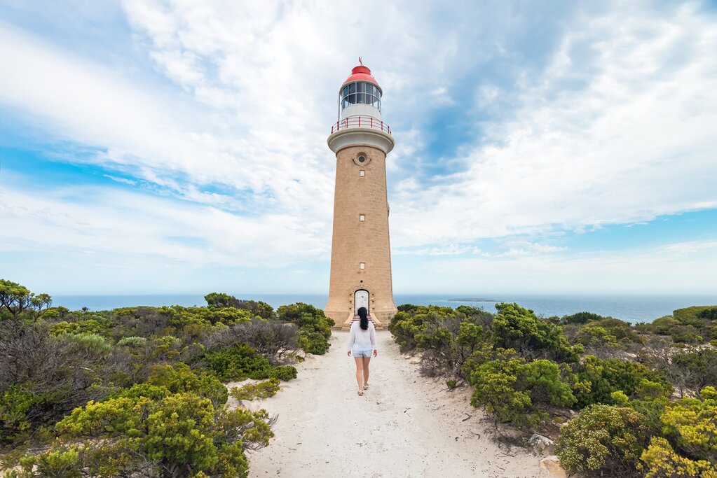 One Day Kangaroo Island Sip & See Tour