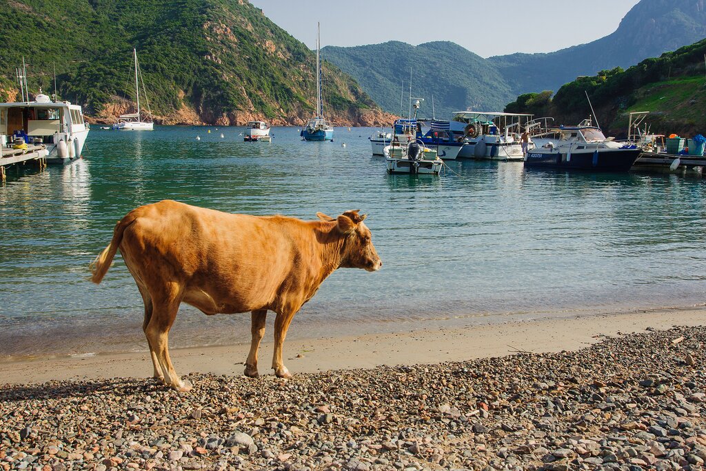 Girolata