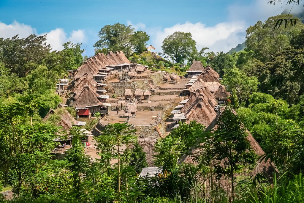 Transfer from Bajawa to Ruteng via Bena Village and Aimere