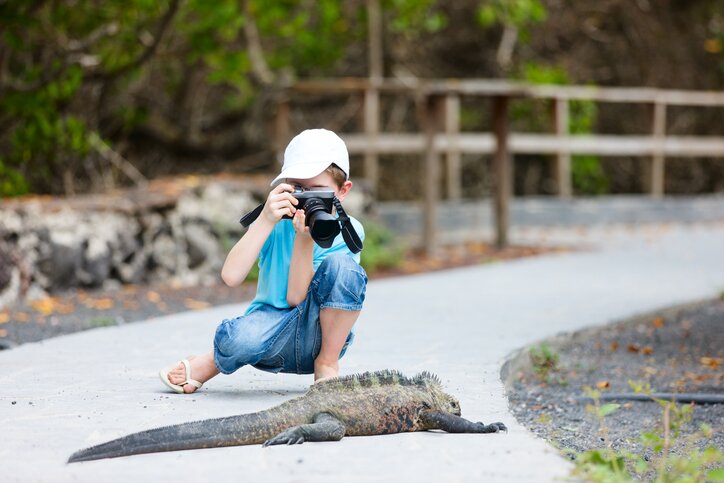 Kids will love seeing friendly wildlife of Isla San Cristóbal up close