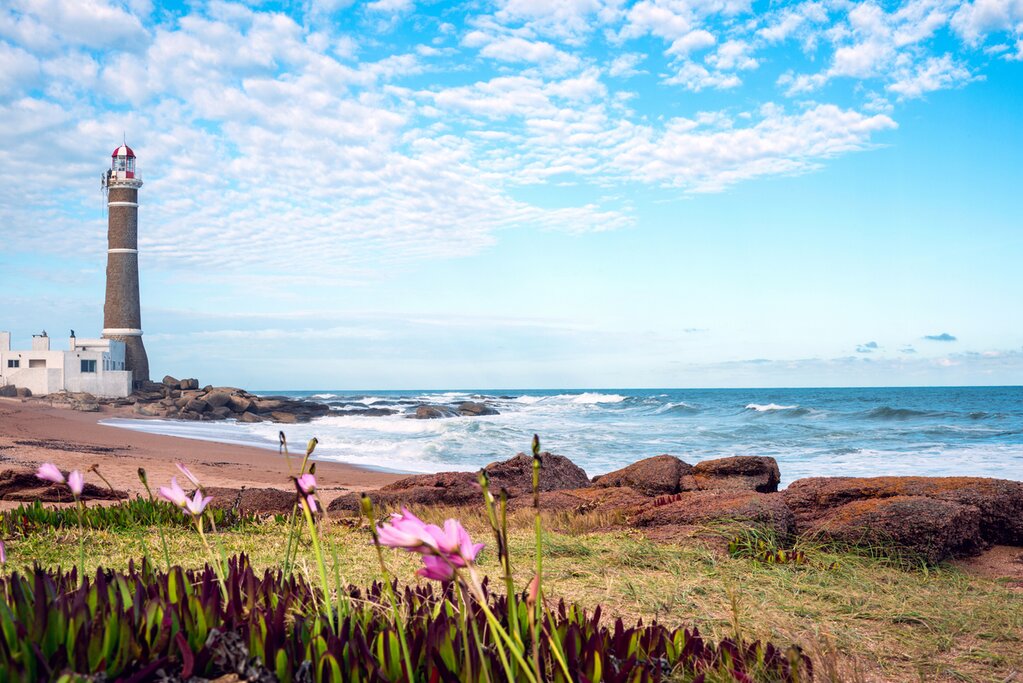 Full day - José Ignacio