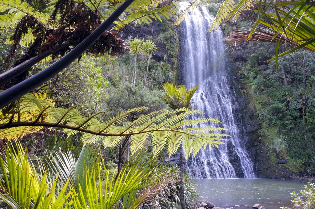Day Trip to the Waitakere Ranges