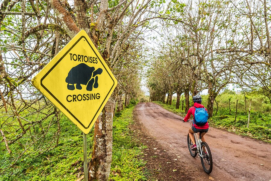 Exploring Santa Cruz Island on a Bike