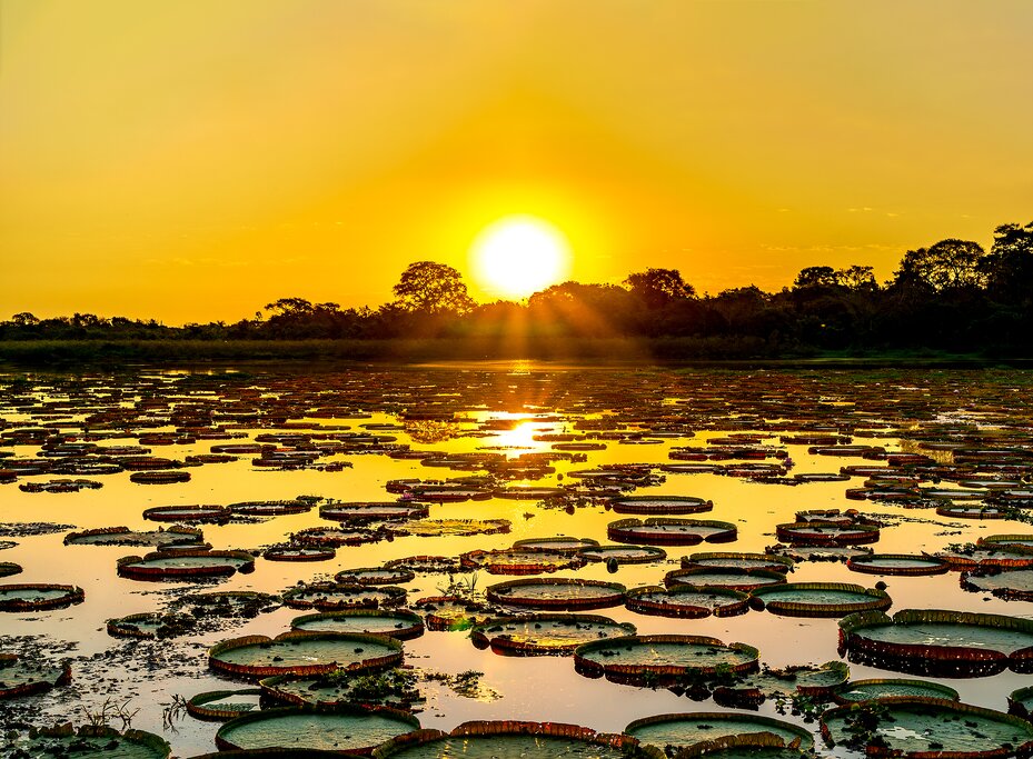 Sunset over the Pantanal