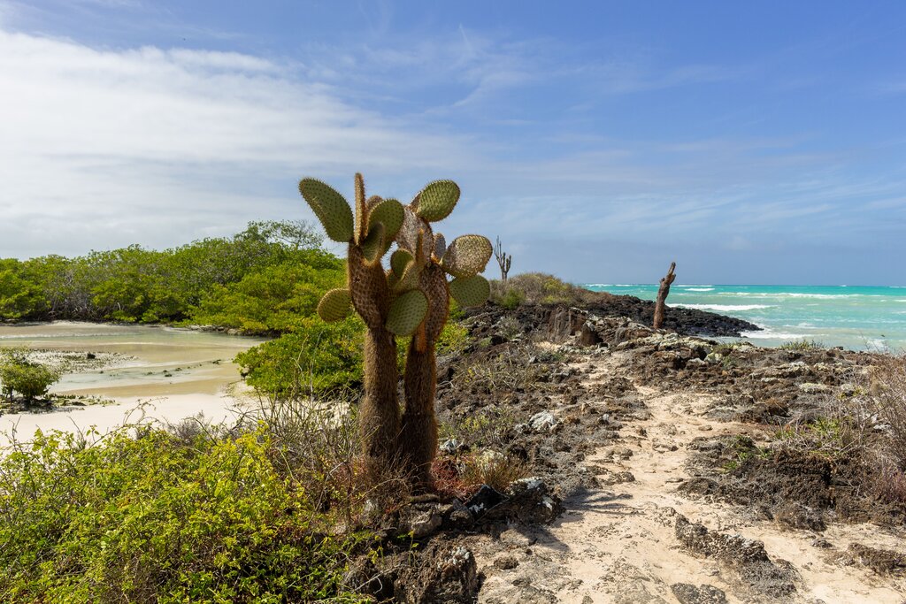 Garrapatero Beach