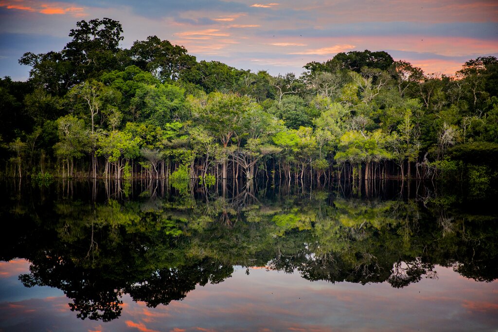 Canoeing in the Amazon and overnight in the jungle