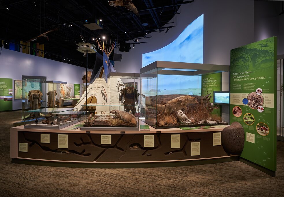 Manitoba Museum in Winnipeg