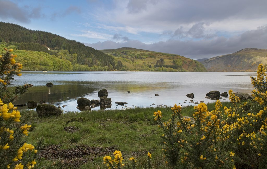 Shores of Lough Dan