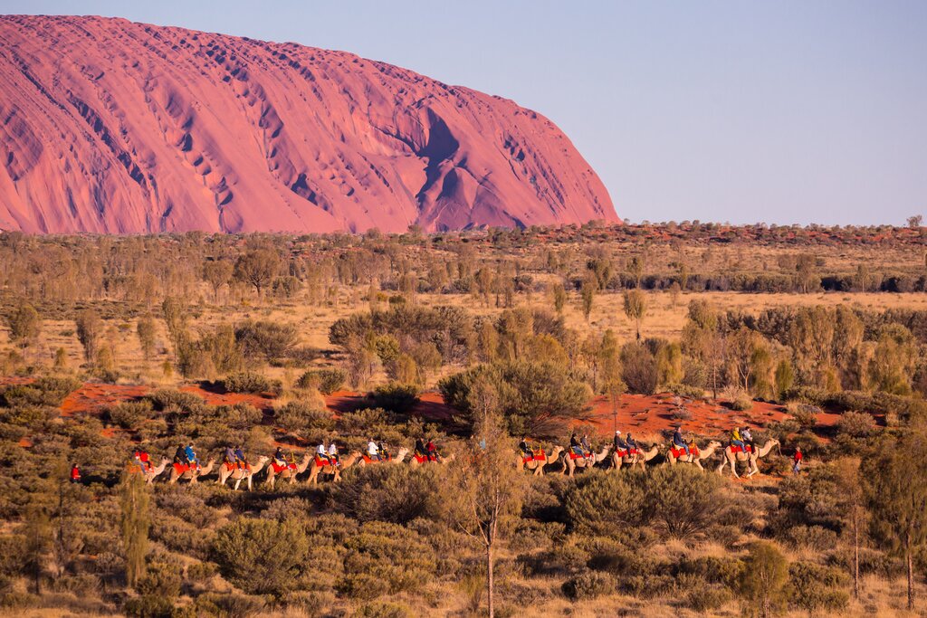 Morning Uluru Sunrise and Field of Light Installation